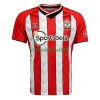 Maillot de Supporter Southampton Domicile 2021-22 Pour Homme